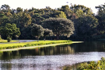 spring in the park