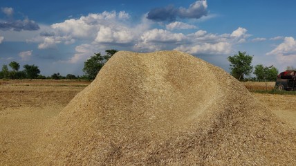 straw bales on a field