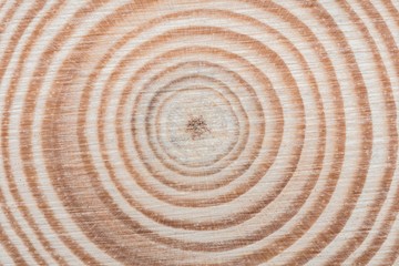Fototapeta na wymiar Wooden tree cut surface with organic tree rings