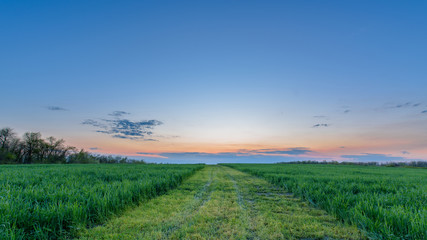 panorama of a green field at sunset blue sky with pink pastel shades of the sky