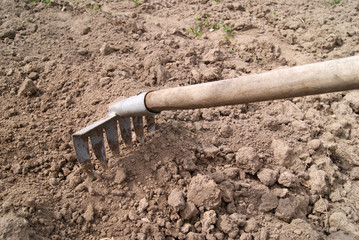 A small rake with a wooden handle is lying on the plowed ground