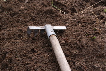 A small rake with a wooden handle is lying on the plowed ground