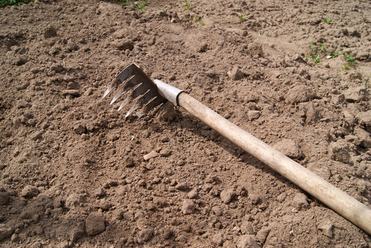 A small rake with a wooden handle is lying on the plowed ground