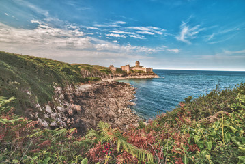 Paysage mer - Chateau Fort Lalatte - Côte Bretagne