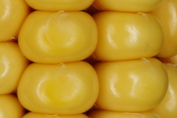 Maize (Zea mays). Seeds Closeup