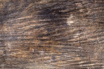 Weathered wooden background, closeup