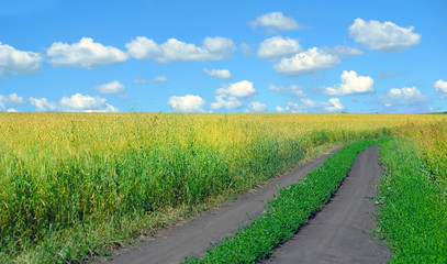 summer rustic landscape. grass field and blue sky with cloud. summer countryside nature background.