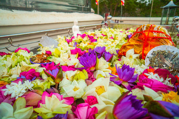 Kwiaty w ofierze na ołtarzu oraz mały posąg Buddy.