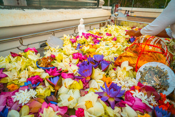 Kwiaty w ofierze na ołtarzu oraz mały posąg Buddy. - obrazy, fototapety, plakaty