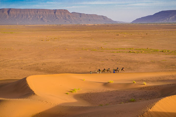 Dunes of Sahara Desert at sunset. Wild nature background.