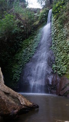 beautiful waterfall in the middle of the forest in central java, indonesia