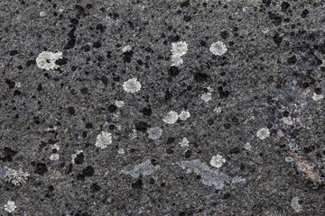 Close up view of the texture of stone with lichen on it