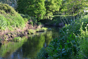 Obraz premium The River Mole in May in Horley in Surrey.