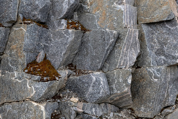 the texture and background of dark prehistoric stone.