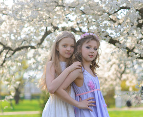 Fototapeta premium Beautiful young girls with blue eyes in a white dresses in the garden with apple trees blosoming having fun and enjoying smell of flowering spring garden.