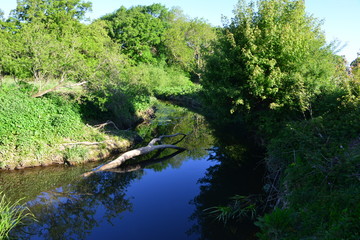 The River Mole in May in Horley in Surrey.