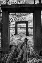 Nature door leads only to next doors
