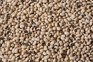 food background from a texture of soy bean close-up