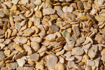 food background from a texture of broad bean close-up