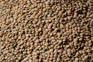 Pile of green lentil grains background surface texture.