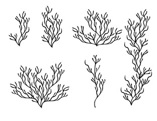 Obraz premium Set of black coral seaweeds silhouettes flat vector illustration isolated on white background