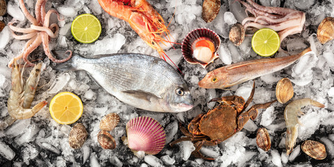 Fish and seafood panorama, shot from the top on ice