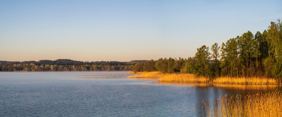 Beautiful sunrise on the lake with reeds and two swans