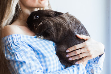 Pet and Easter concept - Attractive girl hugging brown rabbit at home, close-up.