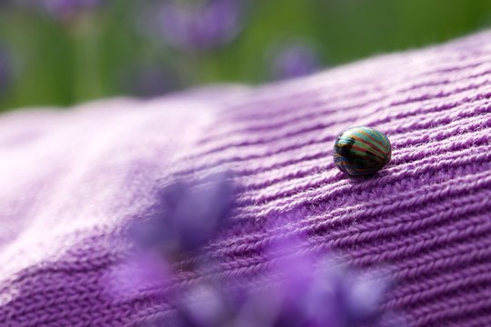 Close-up Of Rainbow Leaf Beetle On Purple Woolen Fabric