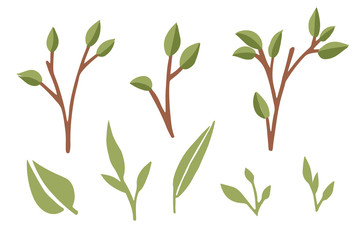 Set of green leaves and leaves on branches flat vector illustration isolated on white background