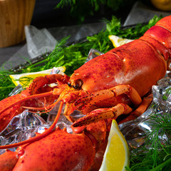 the cooked lobster on ice