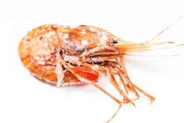 frozen shrimp
