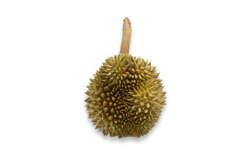 durian an isolated on white background.