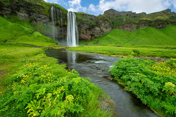 Streams and waterfalls Seljalandsfoss In summer, there are green grass and yellow flowers all over the area. This is a popular tourist destination in Iceland.