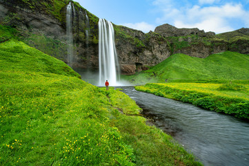 Men in red shirts stand looking at Seljalandsfoss waterfall and streams in the summer, with green grass and yellow flowers all over the area This is a popular tourist destination in Iceland.