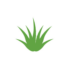 Aloe vera icon design template vector isolated