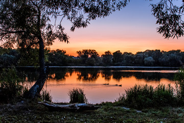 Ukraine. Sunset on the river. Wild ducks swim along the river near the shore. Clouds and the setting sun are reflected in the river.