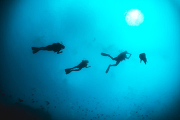 Silhouette of divers swimming in clear blue water around a coral reef