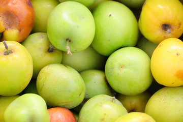 jujubes fruits background theme