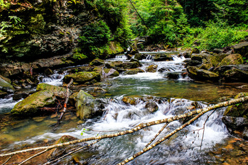 Fototapeta premium Ukraine. Mountain river. The rapid flow of river water. The rocky bottom of the river.