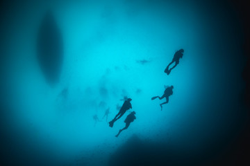 Silhouette of divers swimming in clear blue water around a coral reef