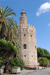 Fototapeta na wymiar Torre del oro in Seville.