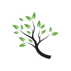 icon design template vector isolated