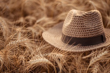 Hat straw isolated brown cap 