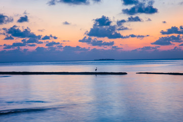 Uccello alba blu con nuvole all’orizzonte, viste da un atollo ai bordi dei reef nel mare delle Maldive
