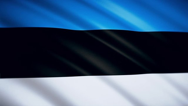 Estonian flag close-up. Matter flutters in the wind. Looped video footage. 3D animation. 4K. HD