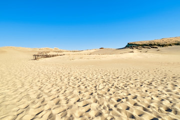 Beautiful calm view of nordic sand dunes at Curonian spit, Nida, Klaipeda, Lithuania. Buried wood, desert and sand, sunny blue sky.