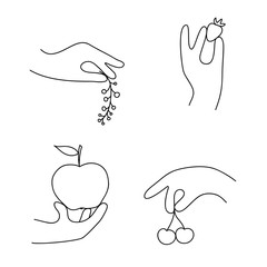 Set of hands holding fruits and berries, vector linear silhouette isolated on a white background.