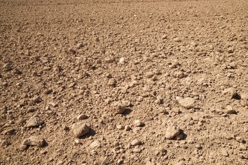 Plowed field view
