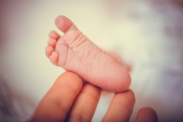 A pair of baby newborn feet in a soft white blanket. Newborn baby feet in warm tone, vintage picture style.